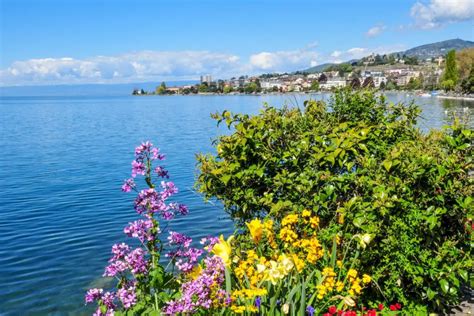 Montreux am Genfersee: Guide mit。